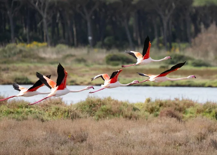 Tatil Evi Sardinia *